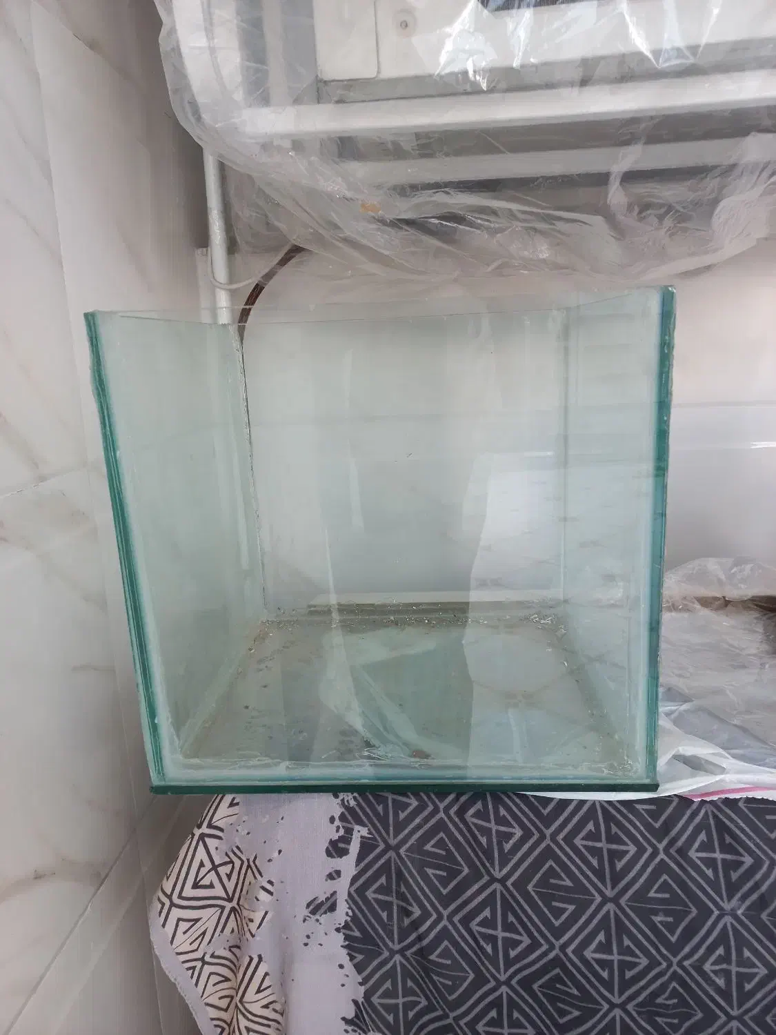 آکواریوم|ماهی|اندیمشک, |دیوار