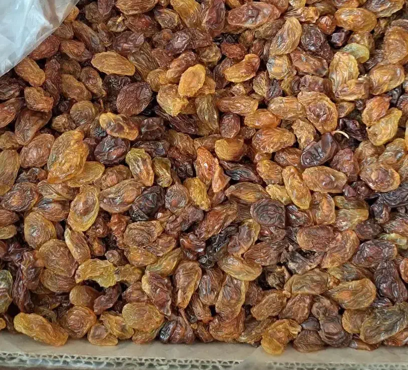 کشمش و مویز|خوردنی و آشامیدنی|یزد, |دیوار