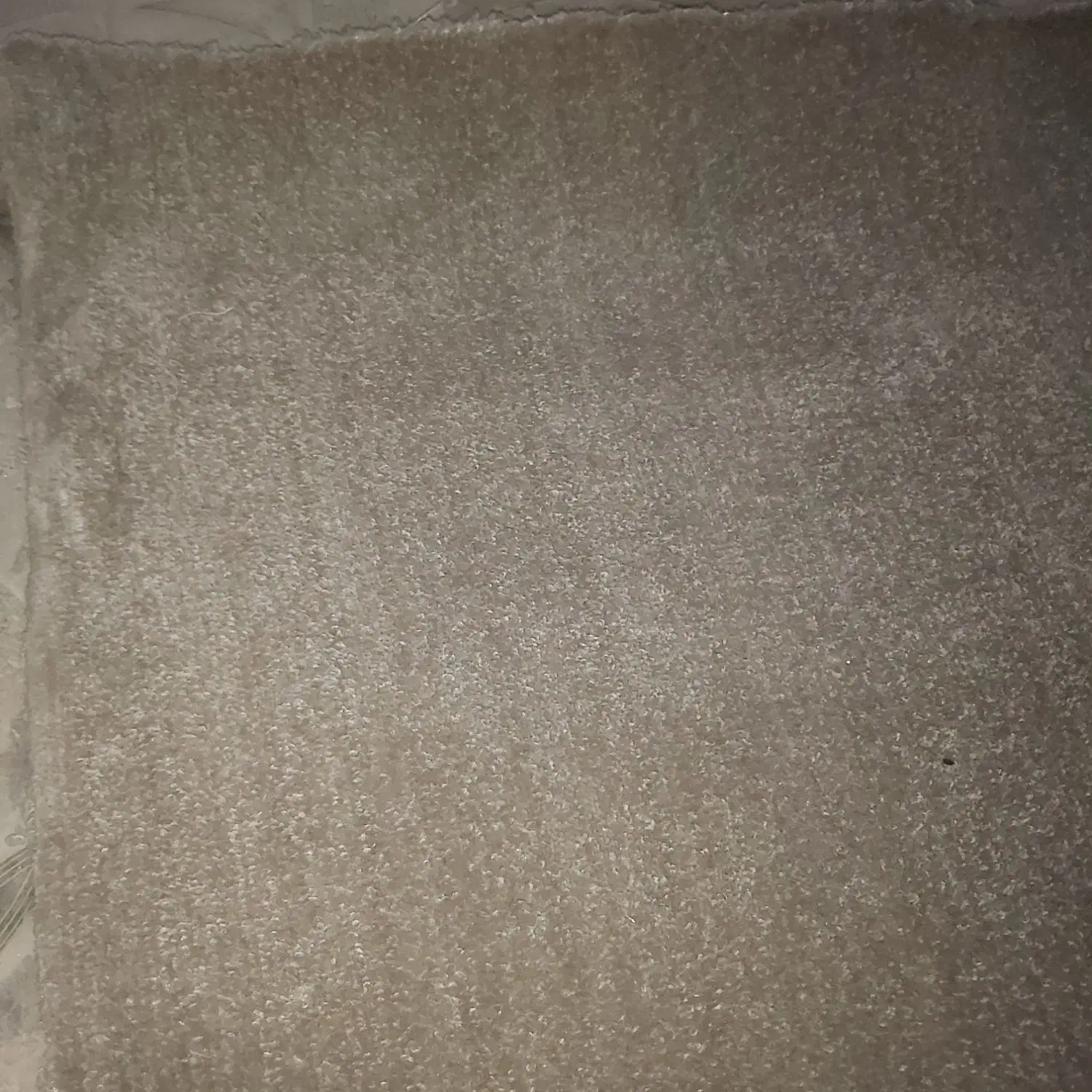 موکت پشت نمدی|موکت|مشهد, نوغان|دیوار