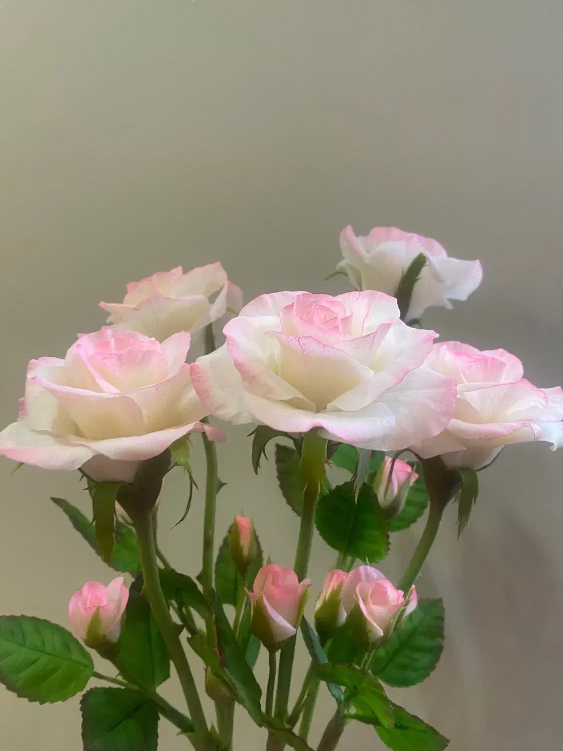 گل های انعطافی|گل مصنوعی|تهران, قنات‌کوثر|دیوار