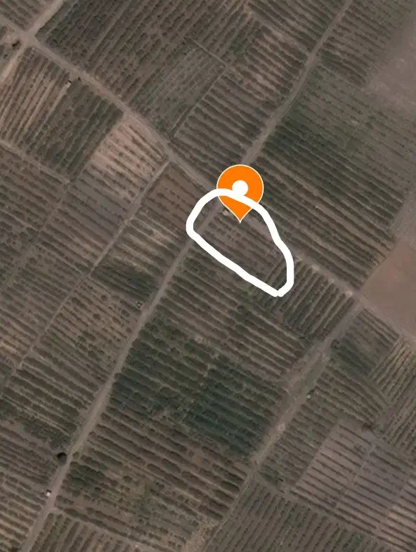 60قصب زمین پسته ای با نیم حبه آب کریم آباد علیا|فروش دفتر صنعتی، کشاورزی، تجاری|رفسنجان, |دیوار