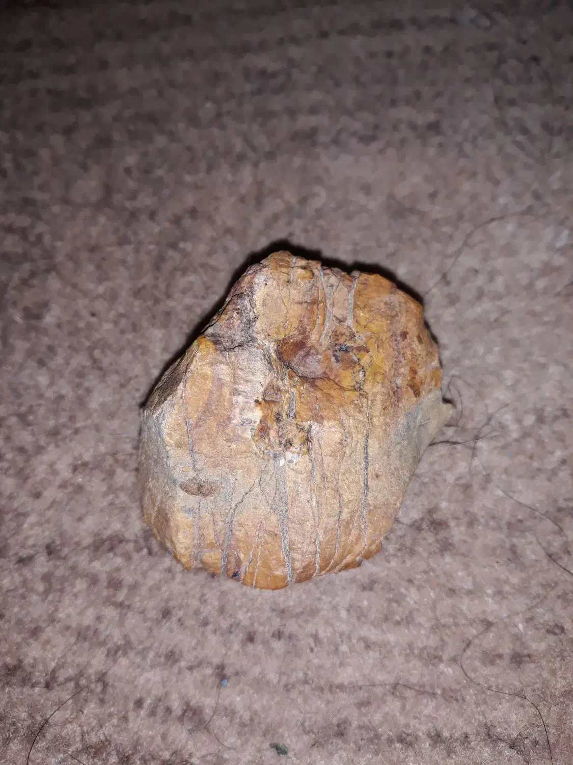 سنگ قیمتی|جواهرات|اردبیل, |دیوار