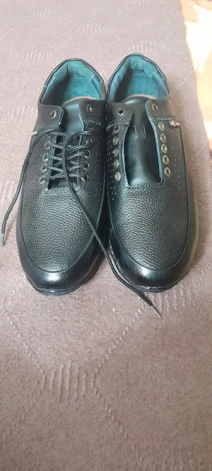 کفش چرم|کیف، کفش، کمربند|بهارستان, |دیوار