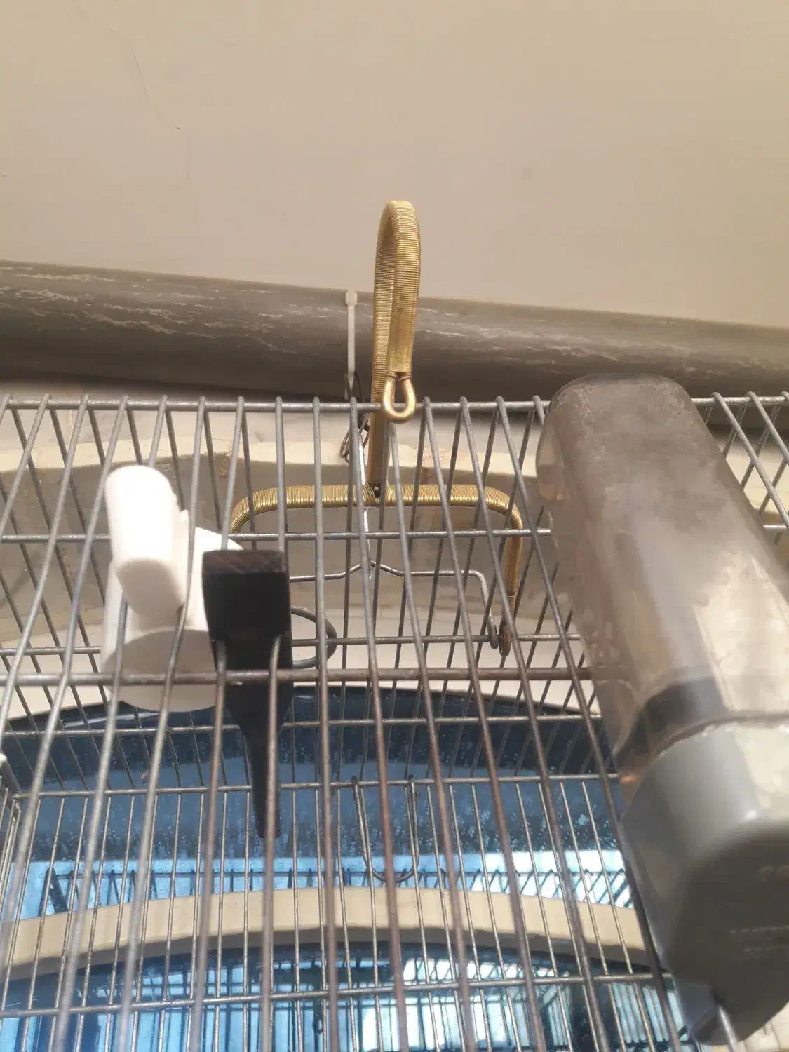 قلاب آویز قفس سهره قناری غلامی فضلی آرمان|لوازم جانبی حیوانات|قرچک, باقرآباد|دیوار