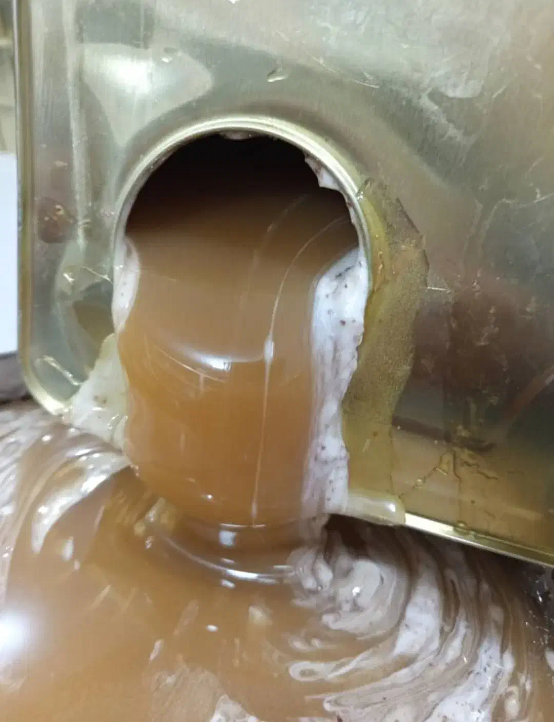 عسل کنارخامه ای|خوردنی و آشامیدنی|شیراز, شهرک گلشن|دیوار