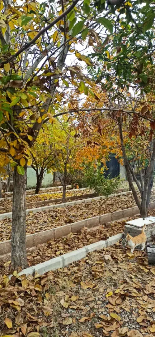 سرایدار آقا وخانم|استخدام سرایداری و نظافت|هشتگرد, تهران دشت|دیوار