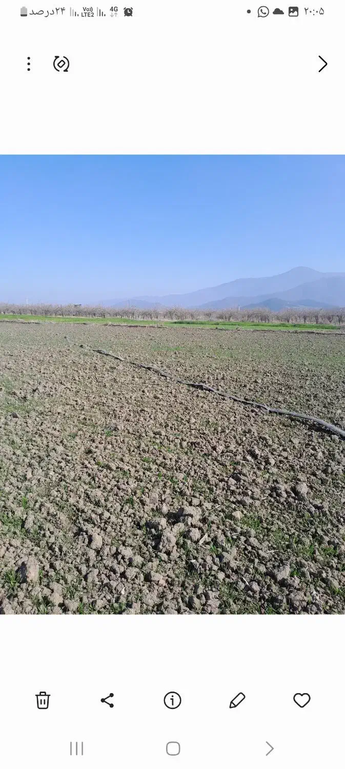 زمین کشاورزی|فروش زمین و ملک کلنگی|خان ببین, |دیوار