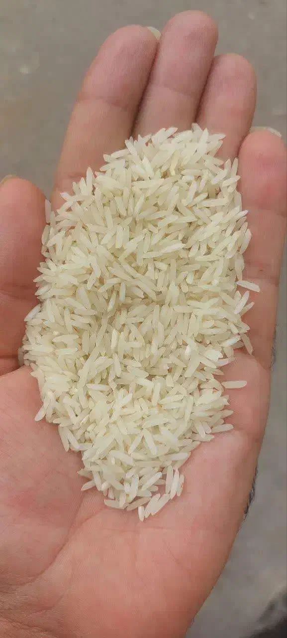 برنج اصل شمال و محصولات ایرانی|خوردنی و آشامیدنی|اصفهان, خانه اصفهان|دیوار