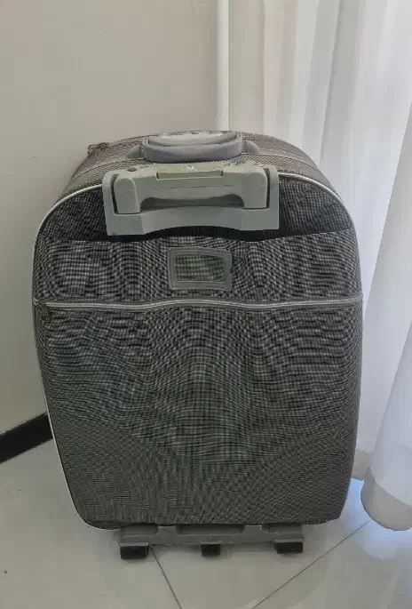 چمدان نو|کیف، کفش، کمربند|مشهد, جاهد شهر|دیوار