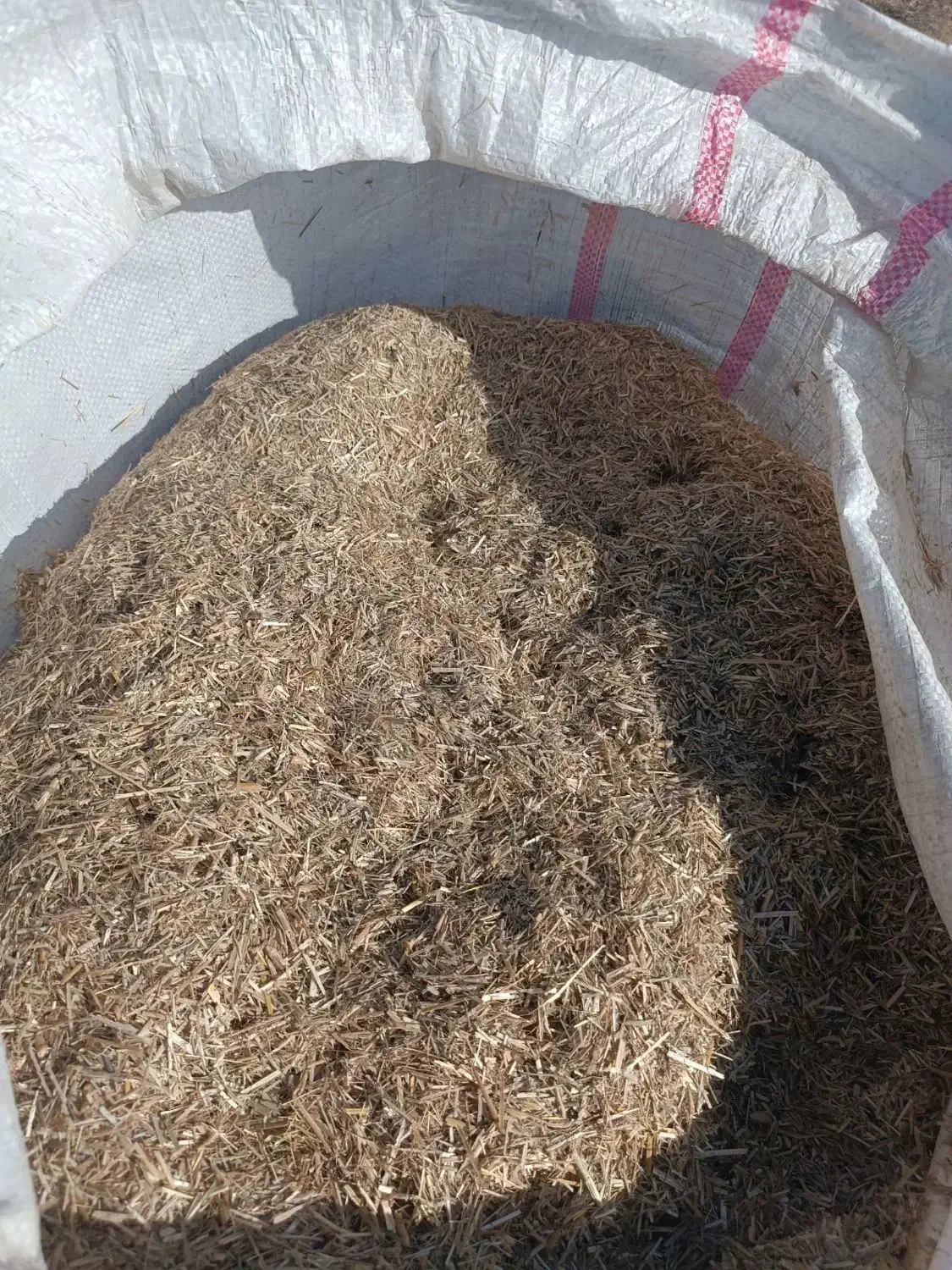 ذرت علوفه ای .کاه گندم ..کو.|خدمات باغبانی و درختکاری|دوزین, |دیوار