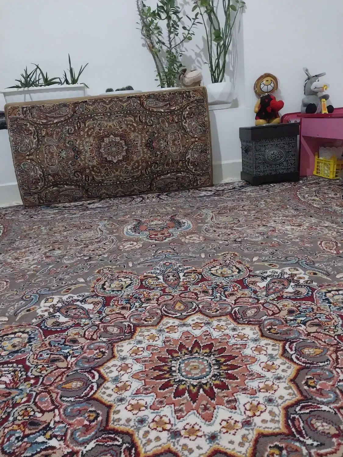 فرش وزیرتلوزیونی|فرش|کرمانشاه, |دیوار