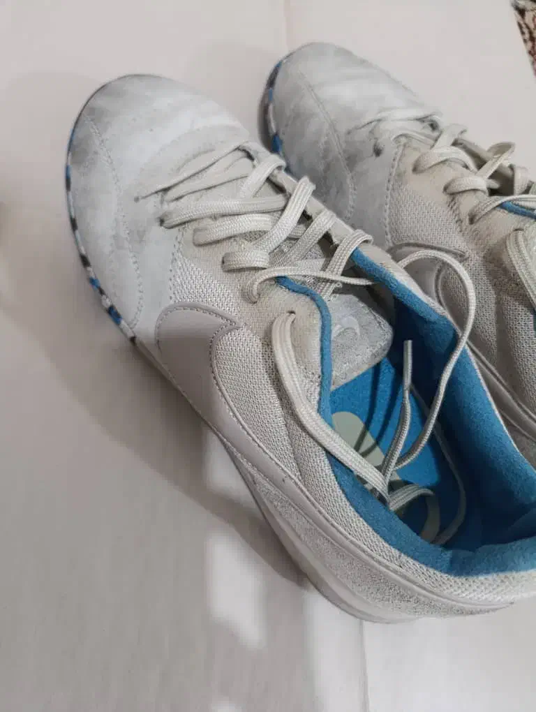 کفش فوتسال|کیف، کفش، کمربند|میناب, |دیوار