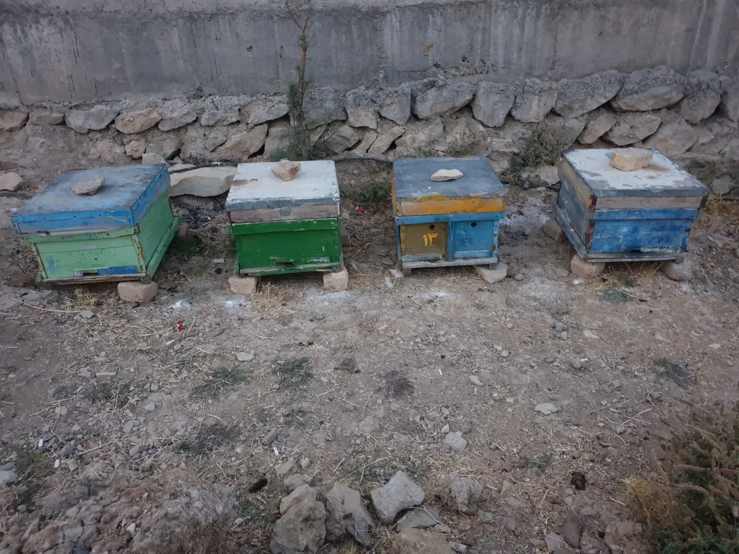 ۳ عدد کندو و یدونه خالی|عمدهفروشی|ملکشاهی, |دیوار