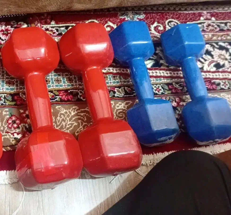 ۵ جفت دمبل ها|تجهیزات ورزشی|رشت, معلم|دیوار