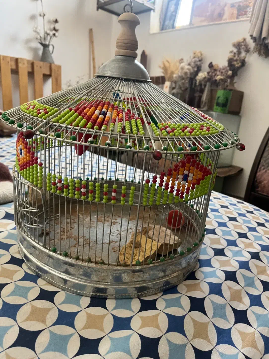 قفس|لوازم جانبی حیوانات|میبد, |دیوار