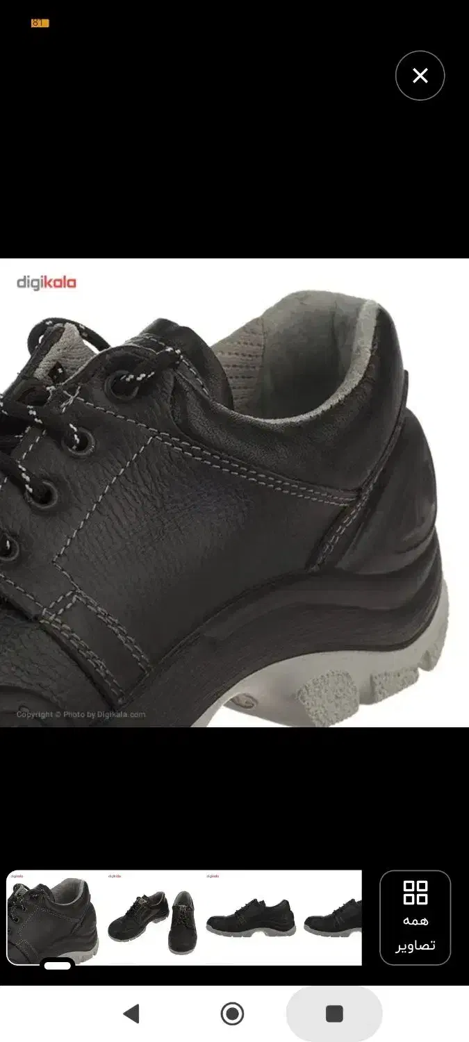 کفش ایمنی کلار|کیف، کفش، کمربند|شوشتر, |دیوار