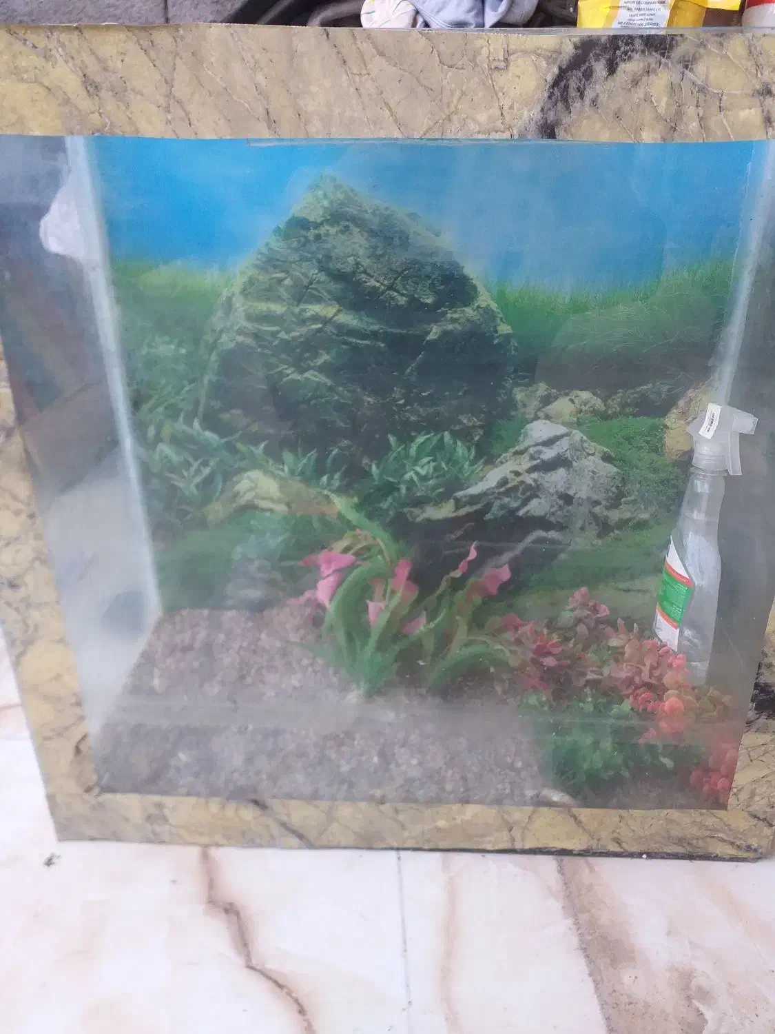 آکواریوم|ماهی|شادگان, |دیوار