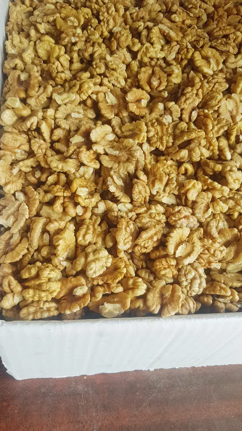 فروش گردو و مغز گردو روغنی کردستان کلی و جزئی|خوردنی و آشامیدنی|اورامان, |دیوار