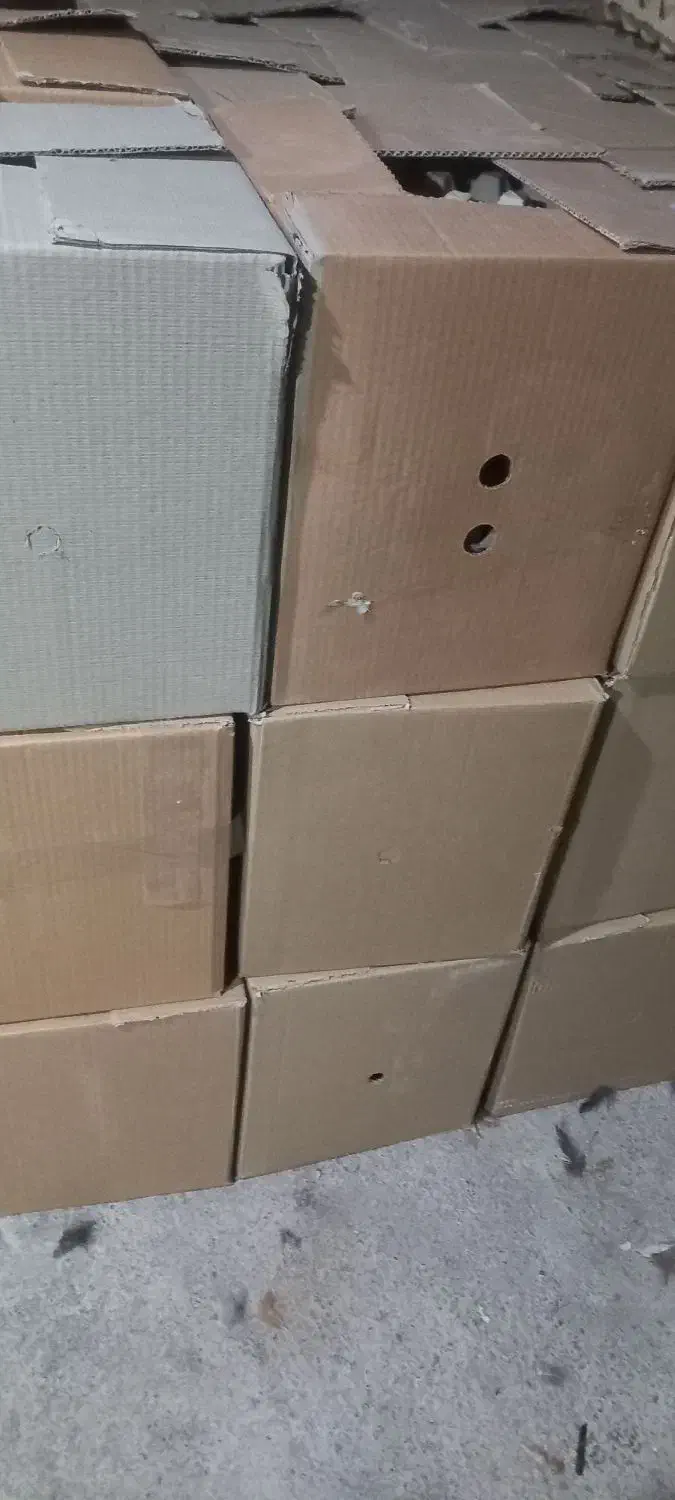 فروش عمده تخم مرغ گلپایگانی|خوردنی و آشامیدنی|قم, دورشهر|دیوار