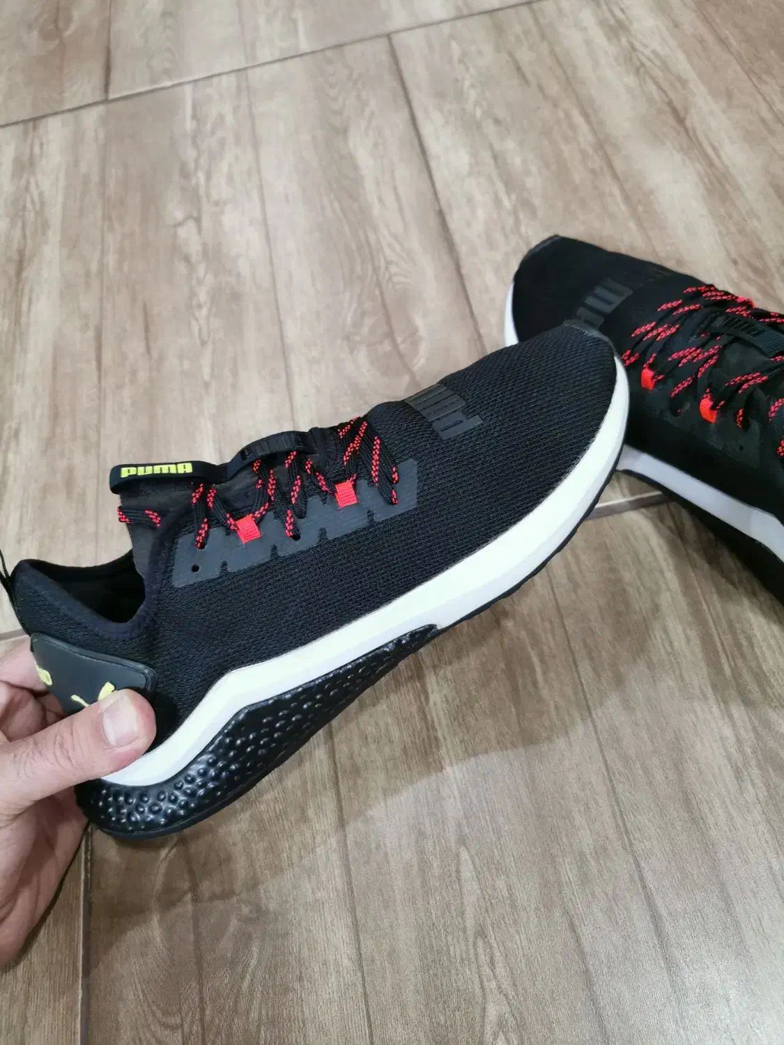 کتونی پوما هیبرید|کیف، کفش، کمربند|مشگین شهر, |دیوار