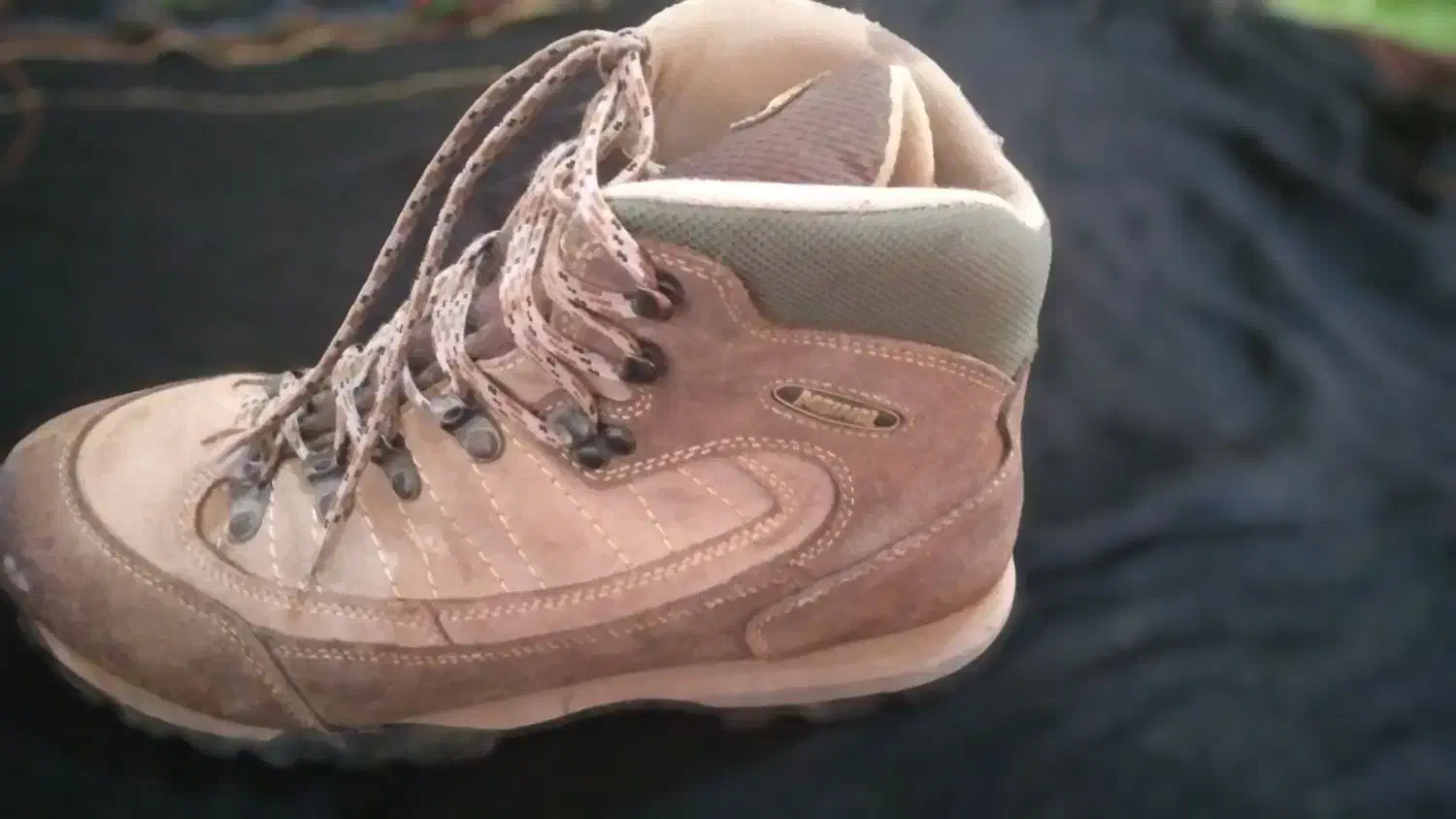 کفش|کیف، کفش، کمربند|هامون, |دیوار