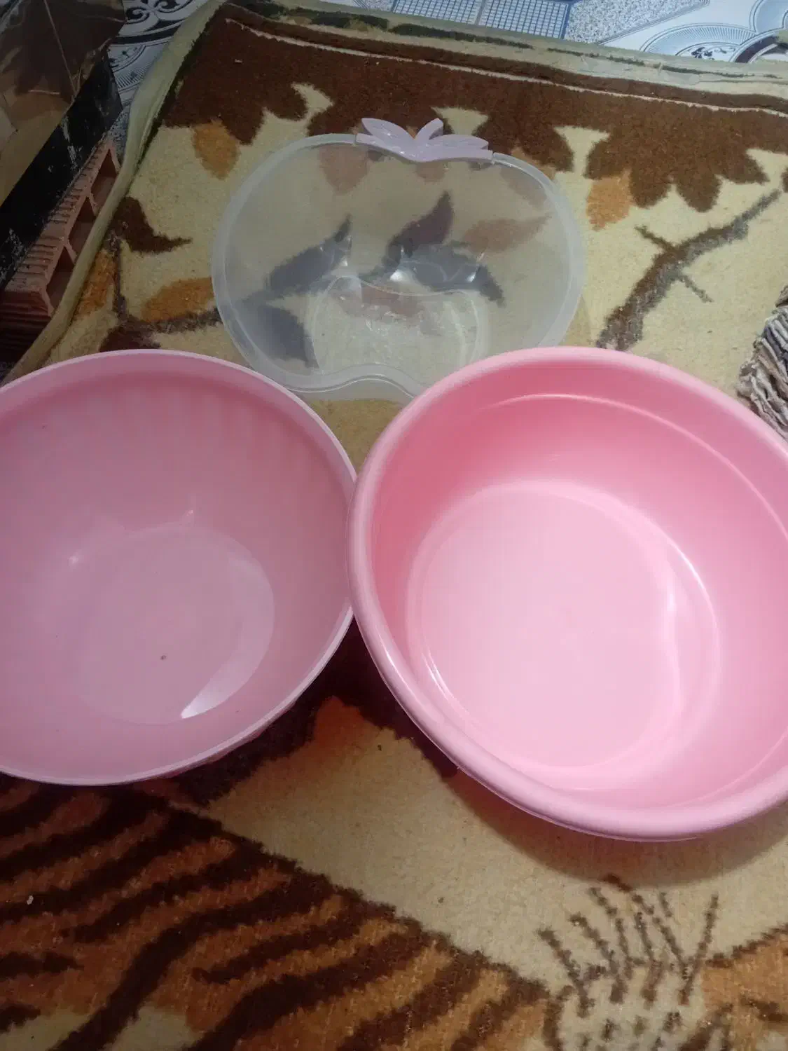 کاسه پلاستیکی|ظروف نگهدارنده، پلاستیکی، یکبارمصرف|ایلام, |دیوار