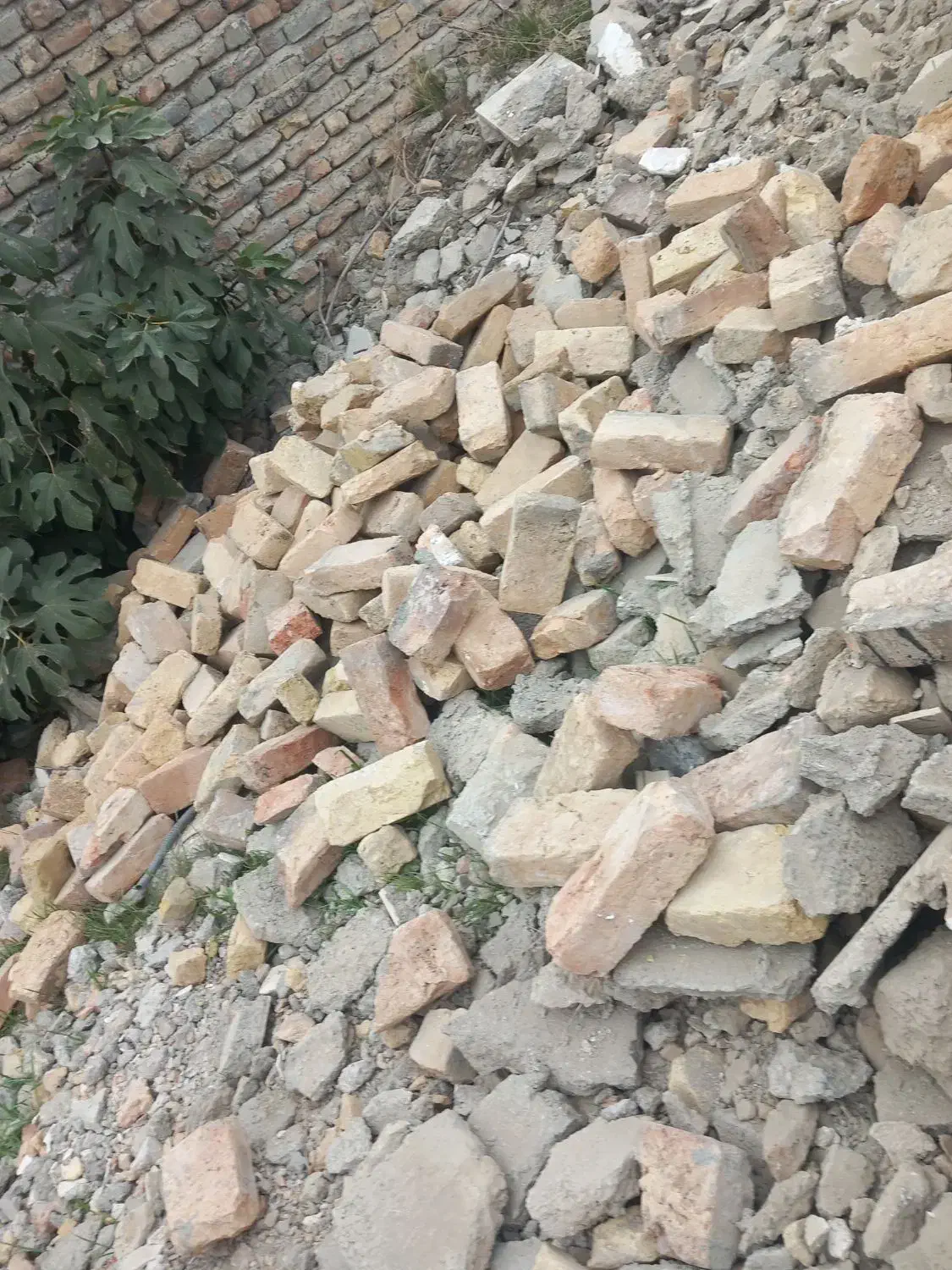 آجرکوره گری مشهد بشرط سالم ومقاوم|مصالح و تجهیزات ساختمان|بندر ترکمن, |دیوار