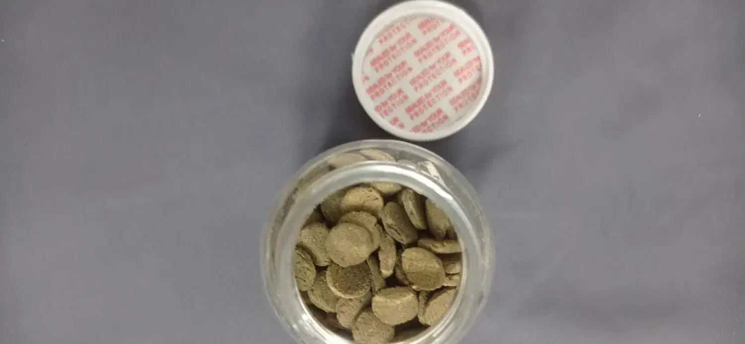 غذای کف خوار|ماهی|فولادشهر, C3|دیوار