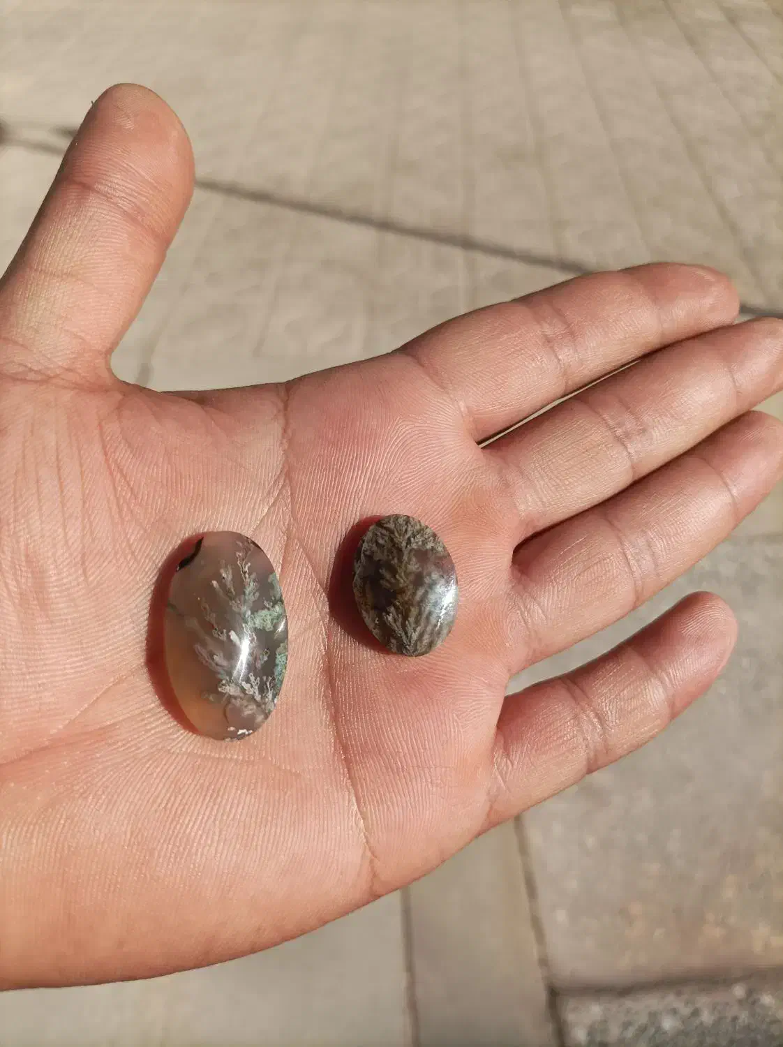 نگین شجر|کلکسیون اشیاء عتیقه|رفسنجان, |دیوار