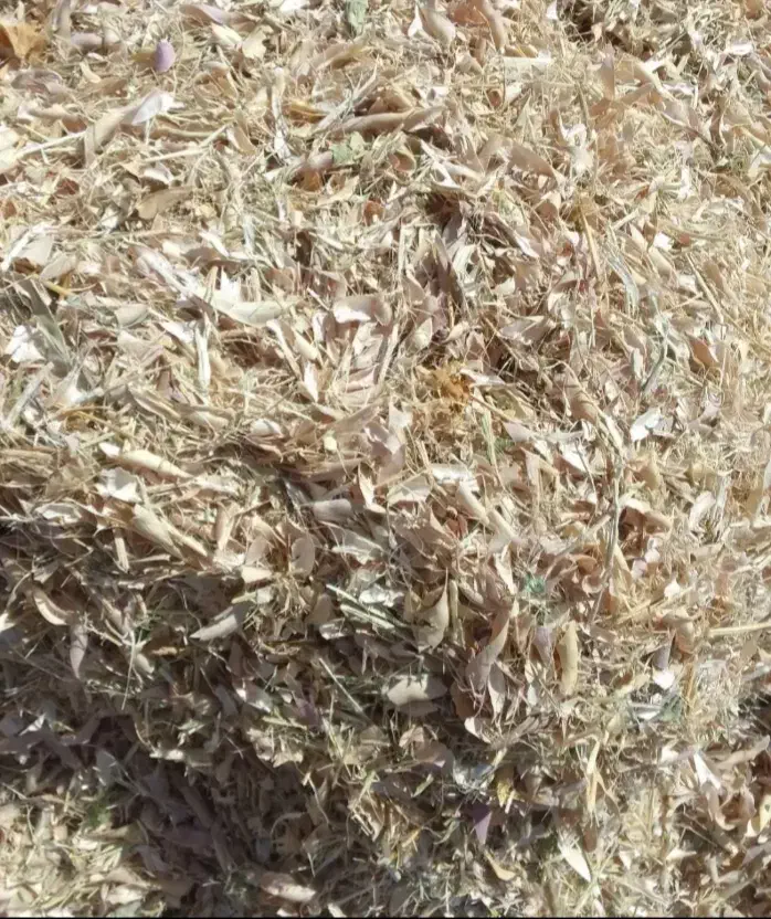 کاه‌کندم|لوازم جانبی حیوانات|قیدار, |دیوار