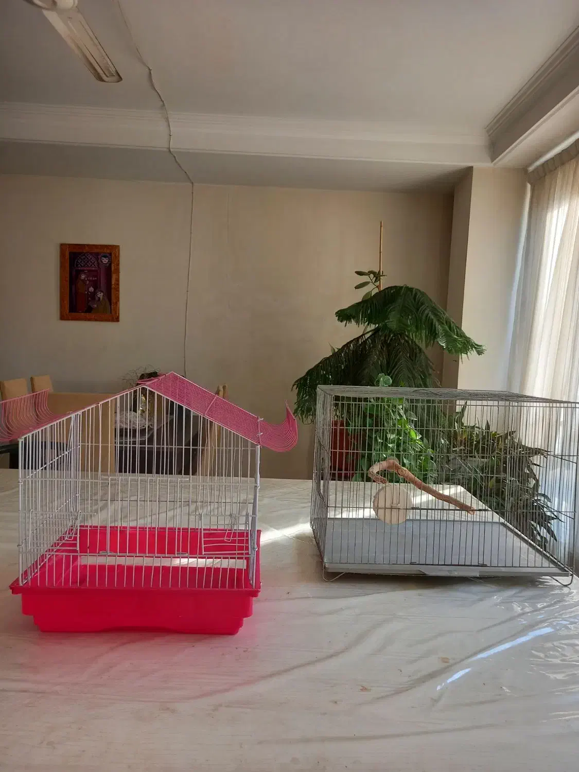قفس پرنده|لوازم جانبی حیوانات|تهران, کوی بیمه|دیوار
