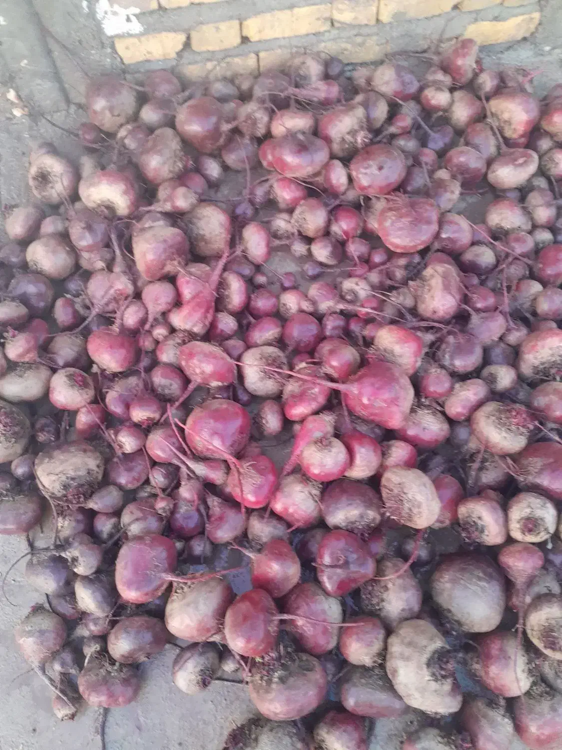 لبومحلی|خوردنی و آشامیدنی|نگار, |دیوار