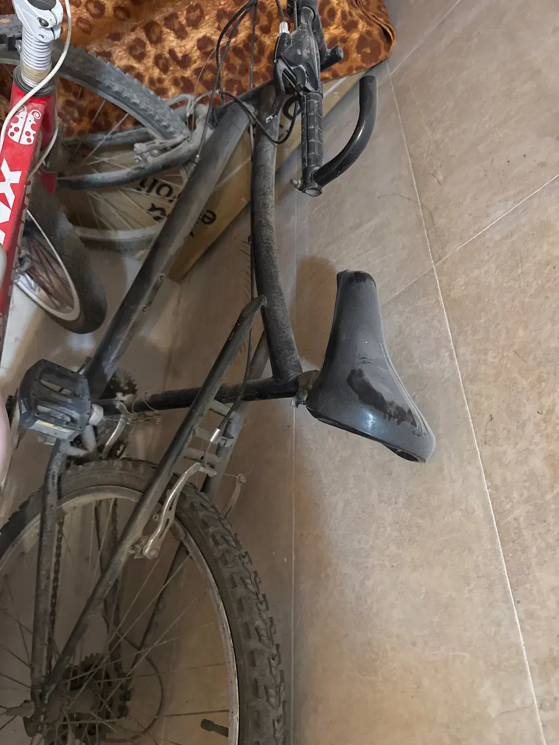 دوچرخه ۲۰ و ۲۶|دوچرخه، اسکیت، اسکوتر|چابهار, |دیوار