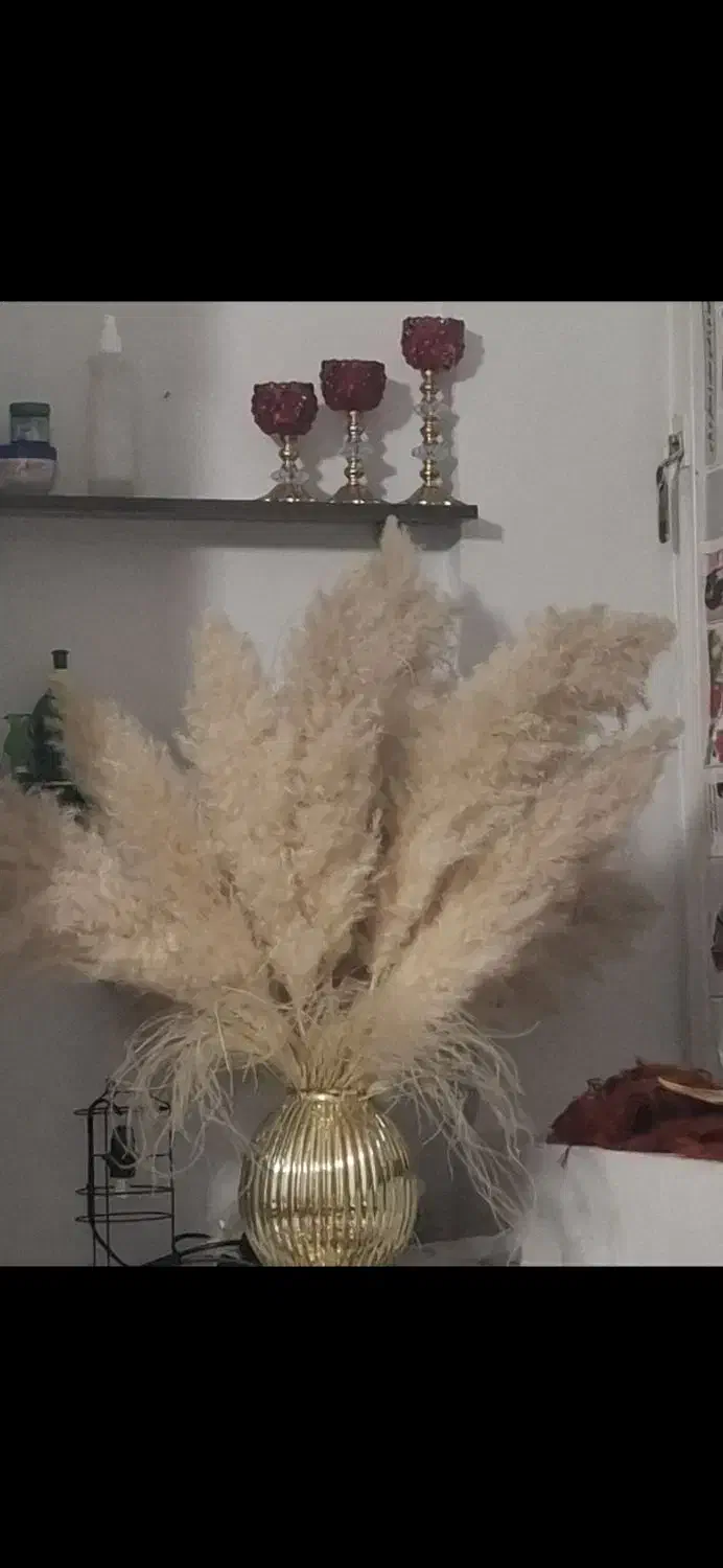 رگال واستند|گل و گیاه طبیعی|شیراز, شهرک فرزانگان|دیوار