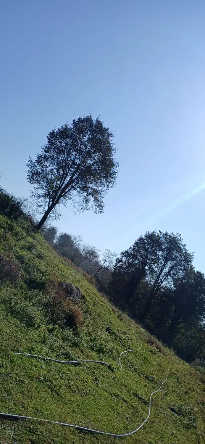 فروش زمین و خانه|فروش خانه و ویلا|آلاشت, |دیوار