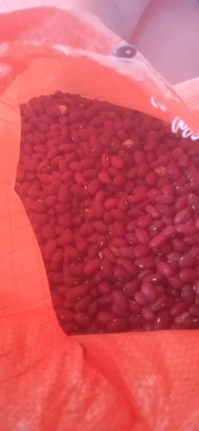 لوبیا قرمز|خوردنی و آشامیدنی|زنجان, |دیوار