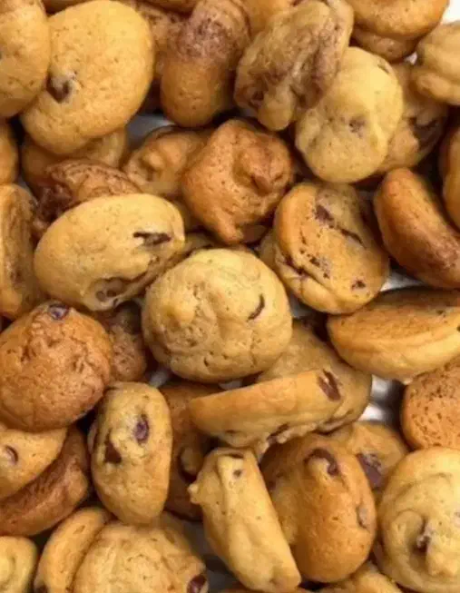 جار کیک و مینی کوکی|خوردنی و آشامیدنی|شیراز, ستارخان|دیوار