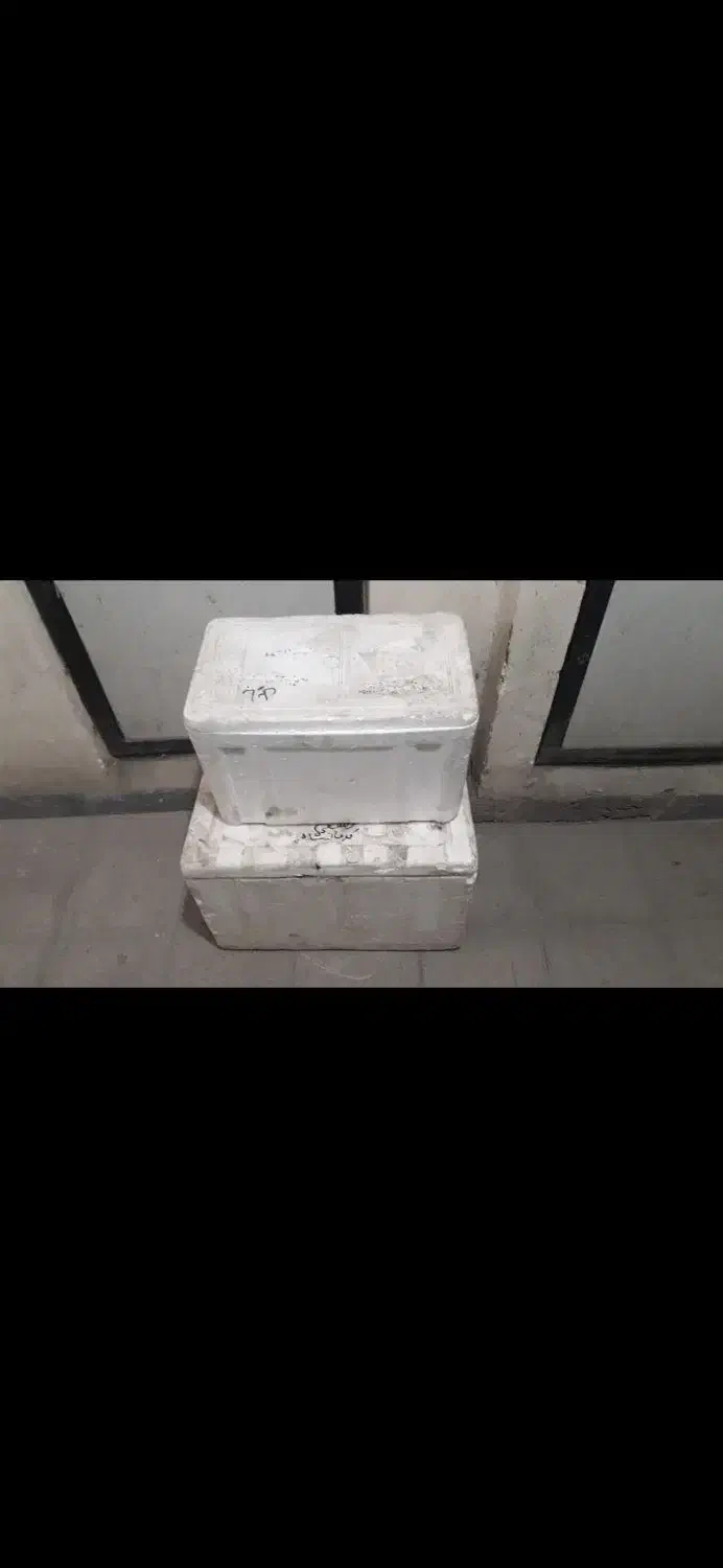 یخدان|ظروف نگهدارنده، پلاستیکی، یکبارمصرف|کرج, شاهینویلا|دیوار