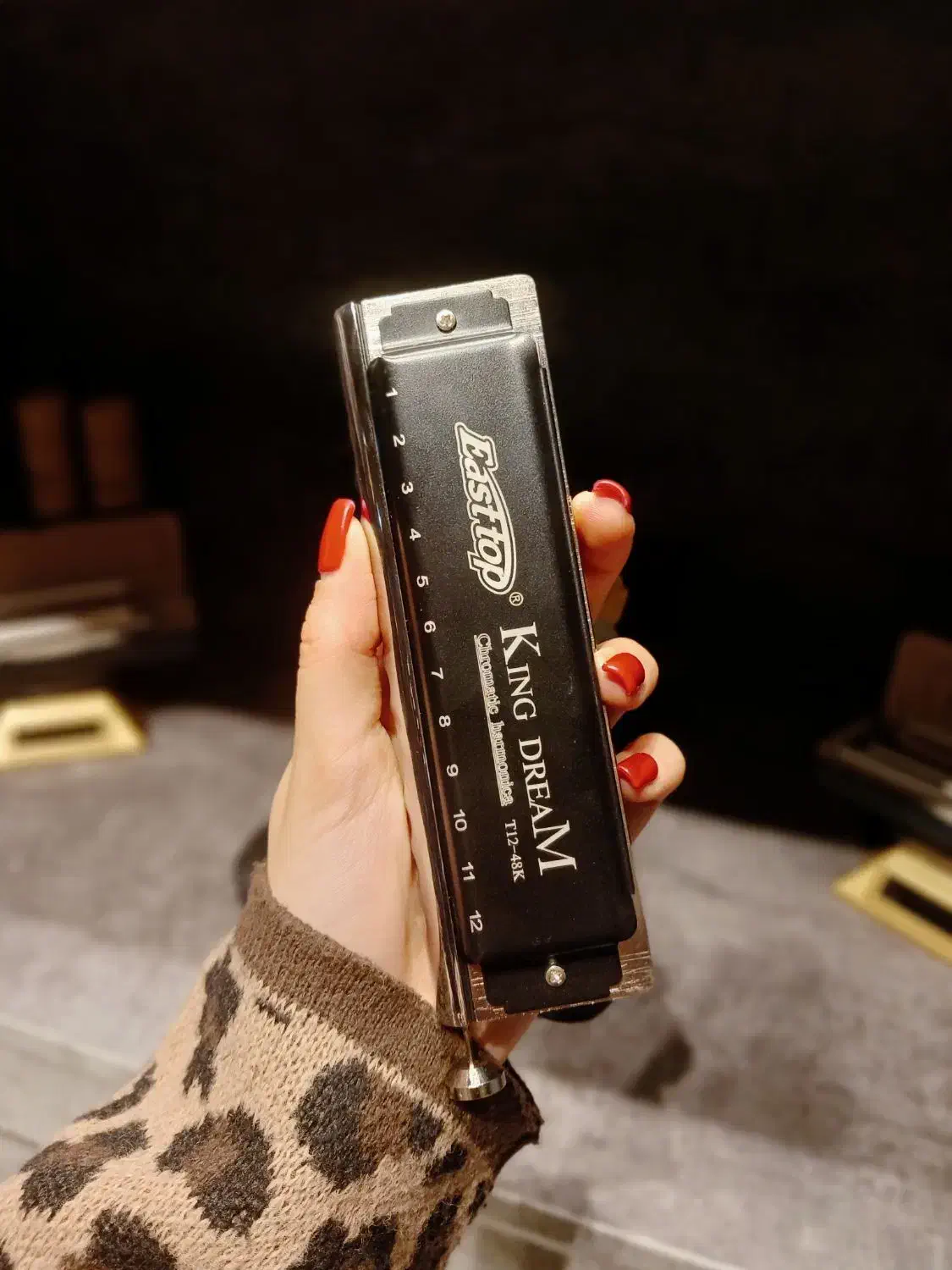 Easttop KING DREAM|سازهای بادی|قزوین, |دیوار