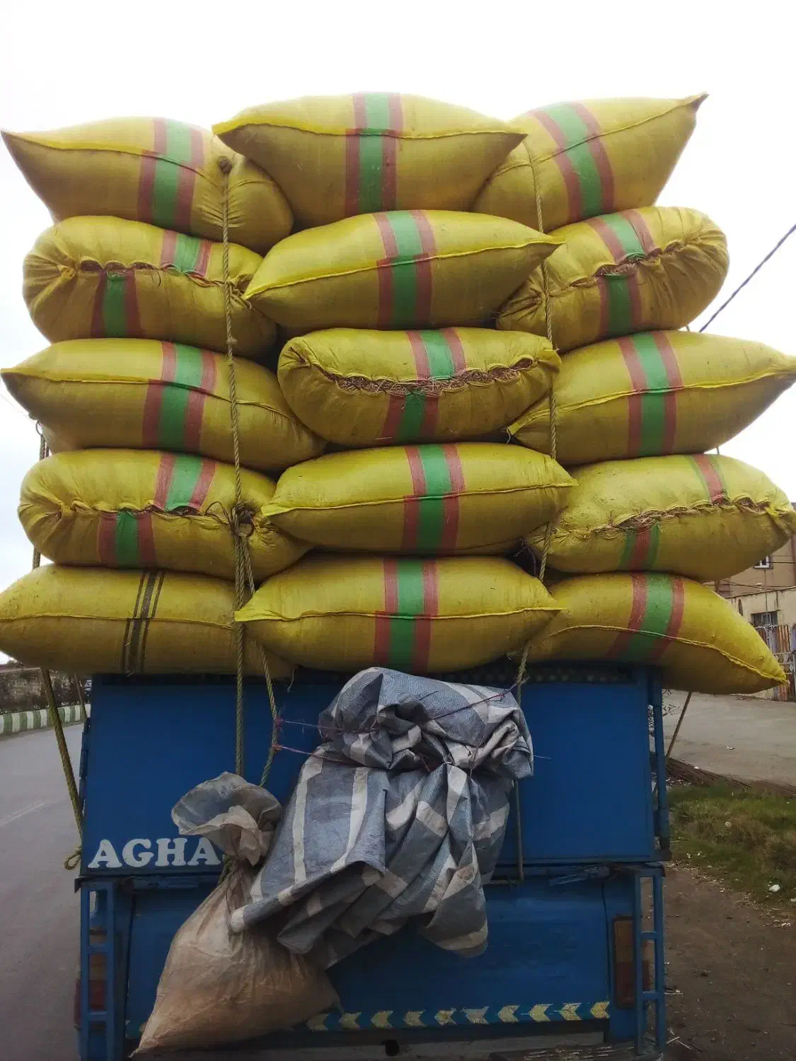 کاه گندم|لوازم جانبی حیوانات|گرمی, |دیوار