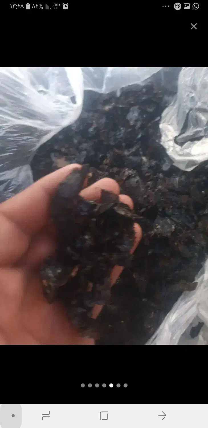 خریدار لیمو خشک صندوقی و کیلویی. نقد|خدمات باغبانی و درختکاری|جهرم, |دیوار