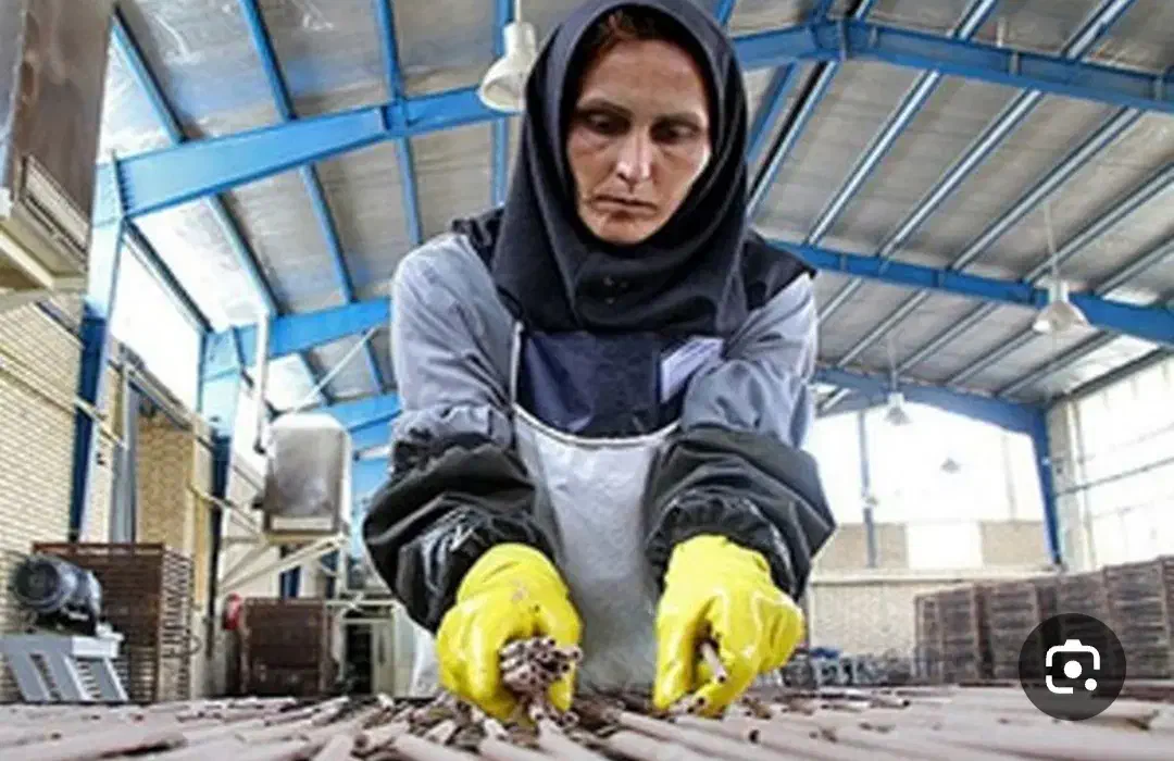 اعزام نیروی کار خانم و آقا به کشور ترکیه...|استخدام معماری، عمران و ساختمانی|شیراز, میانرود|دیوار