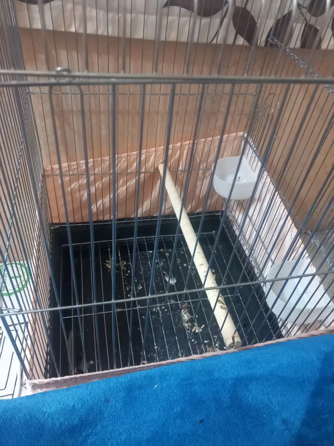 قفس بزرگ. کاسکو و عروس هلندی|لوازم جانبی حیوانات|ری, فیروزآبادی|دیوار
