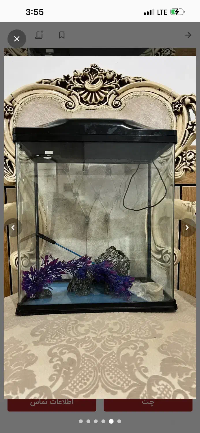 آکواریوم مینیمال|ماهی|اهواز, نادری|دیوار