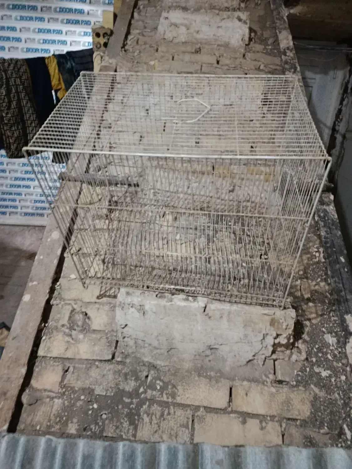 قفس پرنده|لوازم جانبی حیوانات|مشهد, پنجتن|دیوار