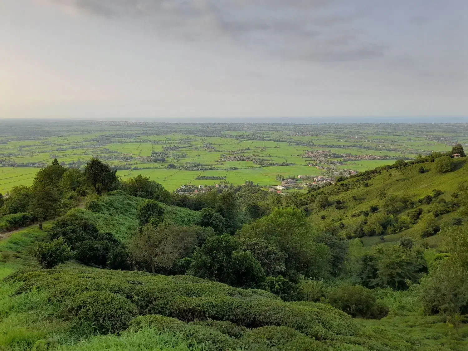 کمپینگ|فعالیت داوطلبانه تحقیقاتی|تهران, آرژانتین|دیوار