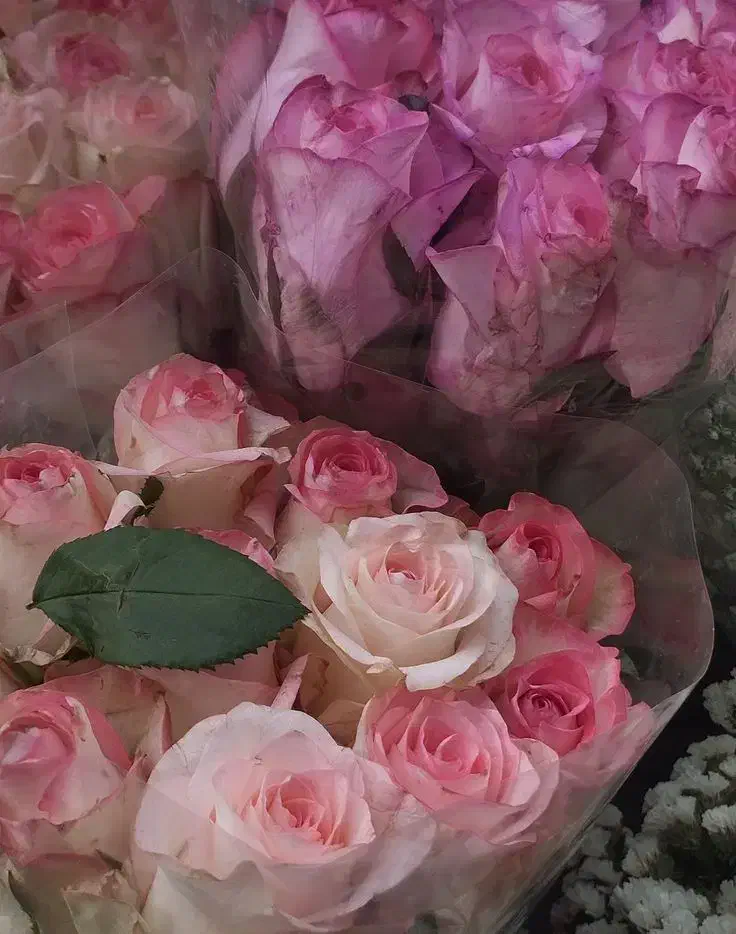 اشتراک فضای انجمنی و آموزشی در اردبیل|اجارهٔ کوتاه‌مدت دفتر کار و فضای آموزشی|اردبیل, |دیوار