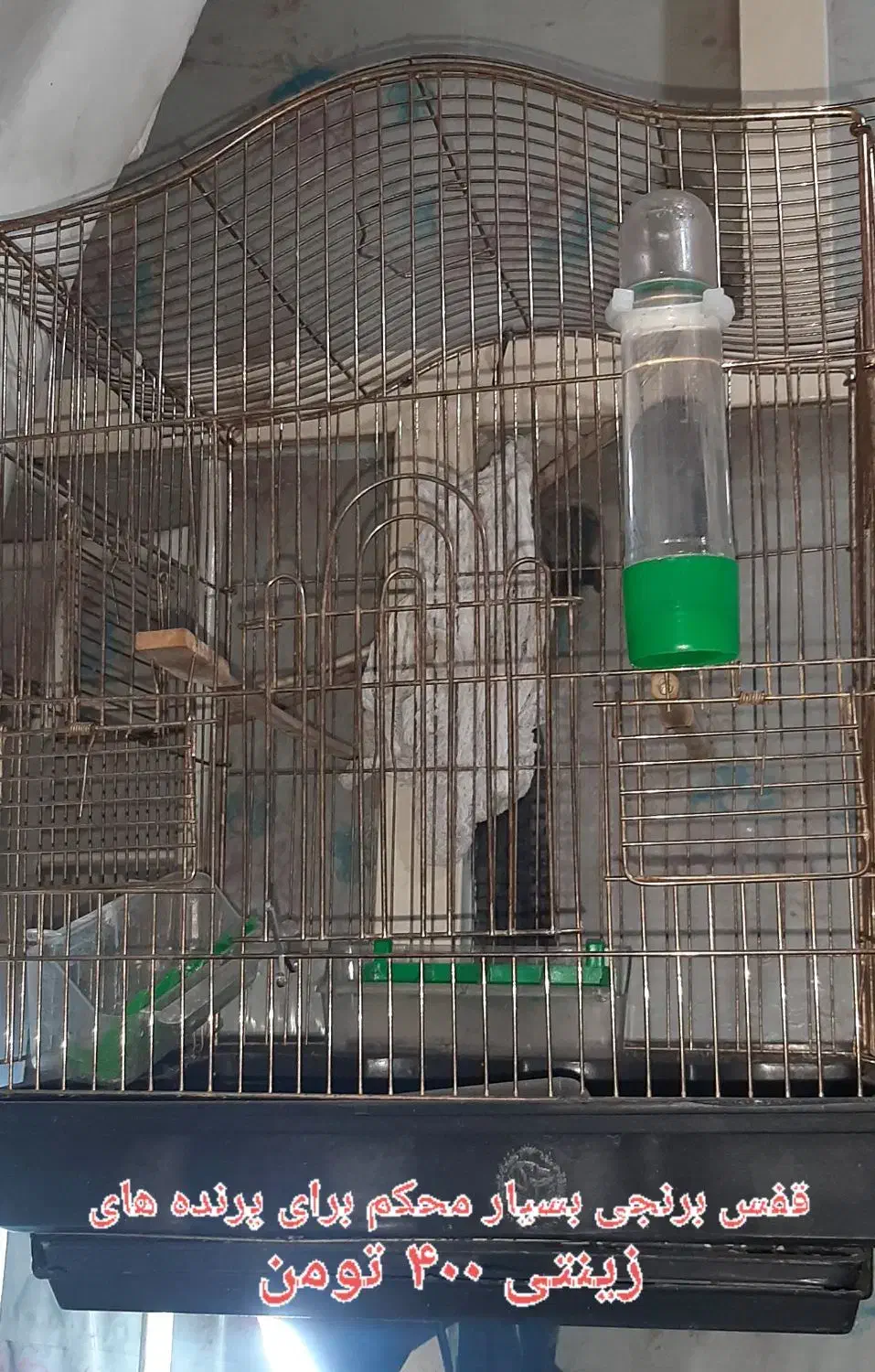 قفس پرنده|لوازم جانبی حیوانات|ری, حمزهآباد|دیوار