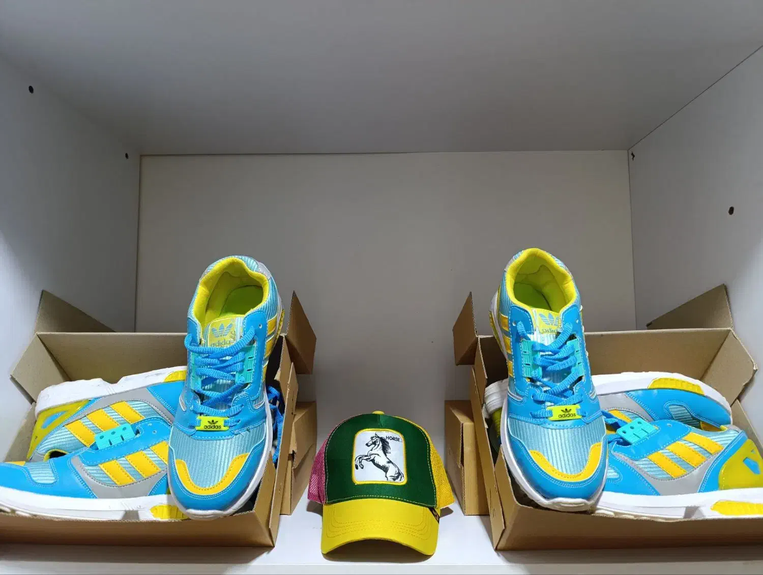 زد ایکس 8000 مردانه|کیف، کفش، کمربند|سلماس, |دیوار