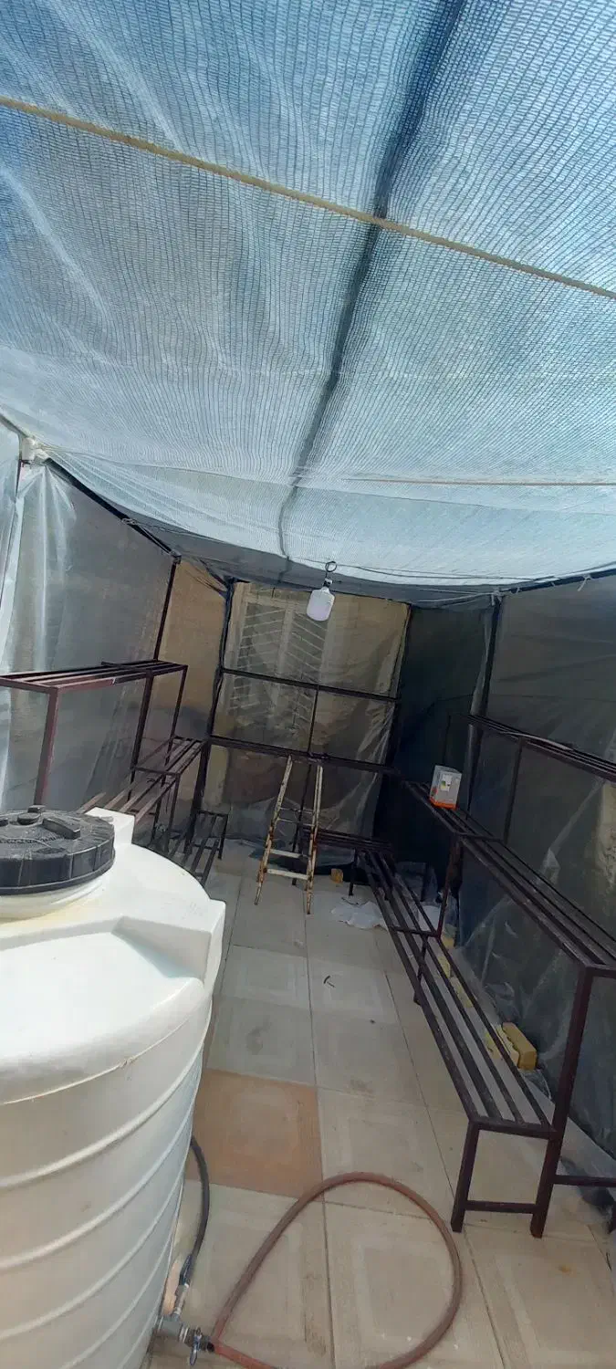 قفسه گل خانه|فروشگاه و مغازه|مرودشت, بیست متری بیمارستان|دیوار